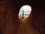 Bryce Canyon
ut114.jpg