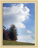 Trees and cloud, Wells