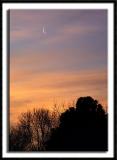 Crescent Moon at Dawn