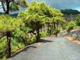 La Palma, Canary Islands.