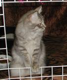 Nedi getting curious.