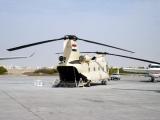 Egyptian Chinook