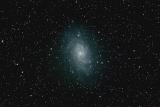 M33