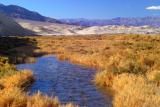 fresh water spring in death valley