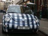 January 18 2004:Gingham Beetle