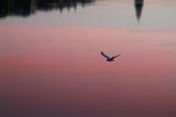 Early morning flight