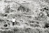 Life on a Mountainside, Siruwari Balami Gau