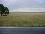 Mormon Lake