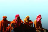 a riot of color web.jpg