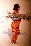 gathering fire wood web.jpg