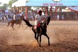 Horsemanship web.jpg