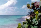 Hopetown Beach, Abaco