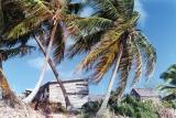 View from Hopetown, Abaco Beach