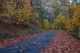 10/14/04 - Fall Colors