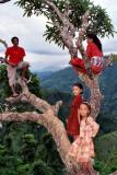 People-Tree Hangout, Siruwari