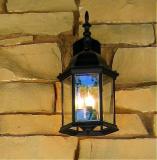 04 26 03 lantern . canon s50.jpg