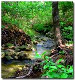 05 11 02 creek beyond falls rayburn, Canon G2 .jpg