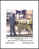 Anatolian Shepherd Dog Club of America - National Specialty - Morrow, Ga, September 16, 2004