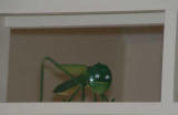 grasshopper