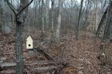 Abandoned