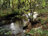 Ruisseau Limousin