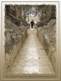 The lonely walk of a photographer's wife!