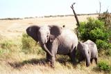 mother and child reunion