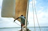dhow