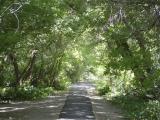 Trail, Cherry Springs Nature Area, Pocatello, Idaho