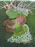 Jardin des Serres d'Auteuil: Mosaïculture