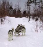Fun in NH