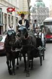 Horse drawn carriage