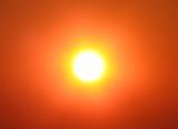 Late Afternoon Sun