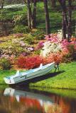 Duck Pond.
