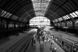 Estação da Luz
