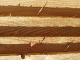 Splinters