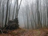 5th: Off the Beaten Track by Ferenc MOGOR