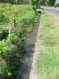 water for rice fields while on bike trip