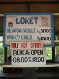 after lunch, off to the Natural Holy Hot Springs (where the water was green and hot)