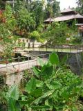 Banjar Hot Springs