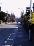 White lines again, I am facinated...... but what do they mean????!!
