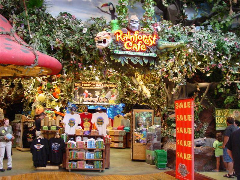 Rainforest Cafe photo Chip Curley photos at
