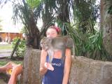 Monkey Forest