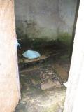 toilet (hold your breath)