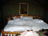 It's comfy out here in the Bush!