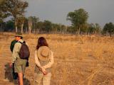 On a walking safari (with Deb as guide)