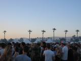 I kept thinking of the palm trees from apocalypse now