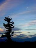 Crater Lake 2003