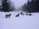 3 teams heading out into the snow.