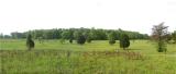 140th Anniv reenactment of Spotsylvania Battle